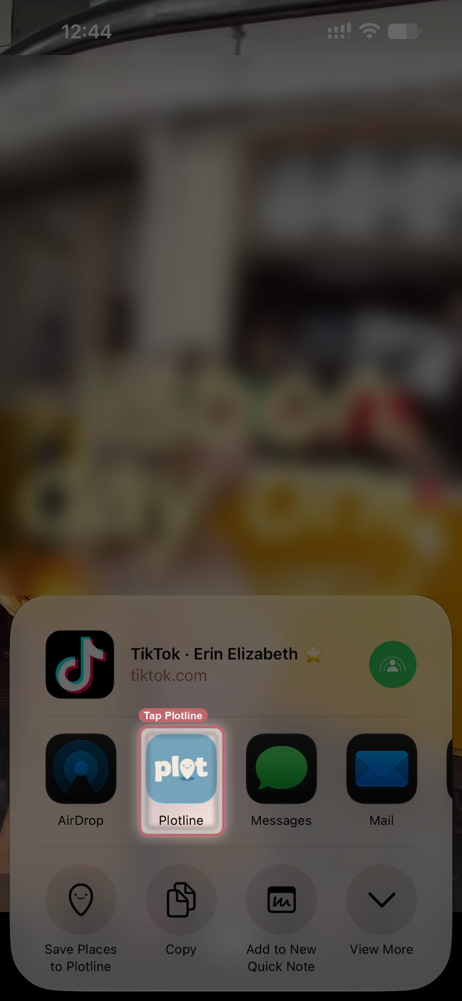 TikTok's share sheet open on a Lisbon video, with Plotline in the row of apps